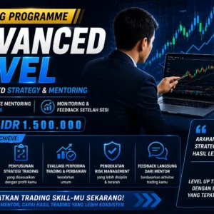 Personalized Strategy & Mentoring